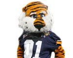 Mascot Auburn