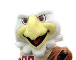 Mascot Boston College