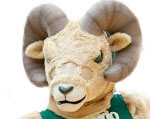 Mascot Colorado State