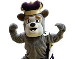 Mascot James Madison Dukes