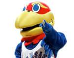 Mascot Kansas