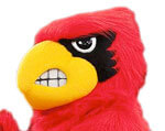 Mascot Louisville