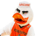 Mascot Miami