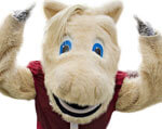 Mascot Oklahoma