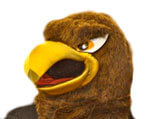 Mascot Southern Miss