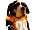 Mascot Tennessee