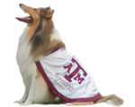 Mascot Texas A&M