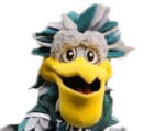 Mascot Tulane