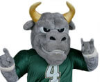 Mascot USF